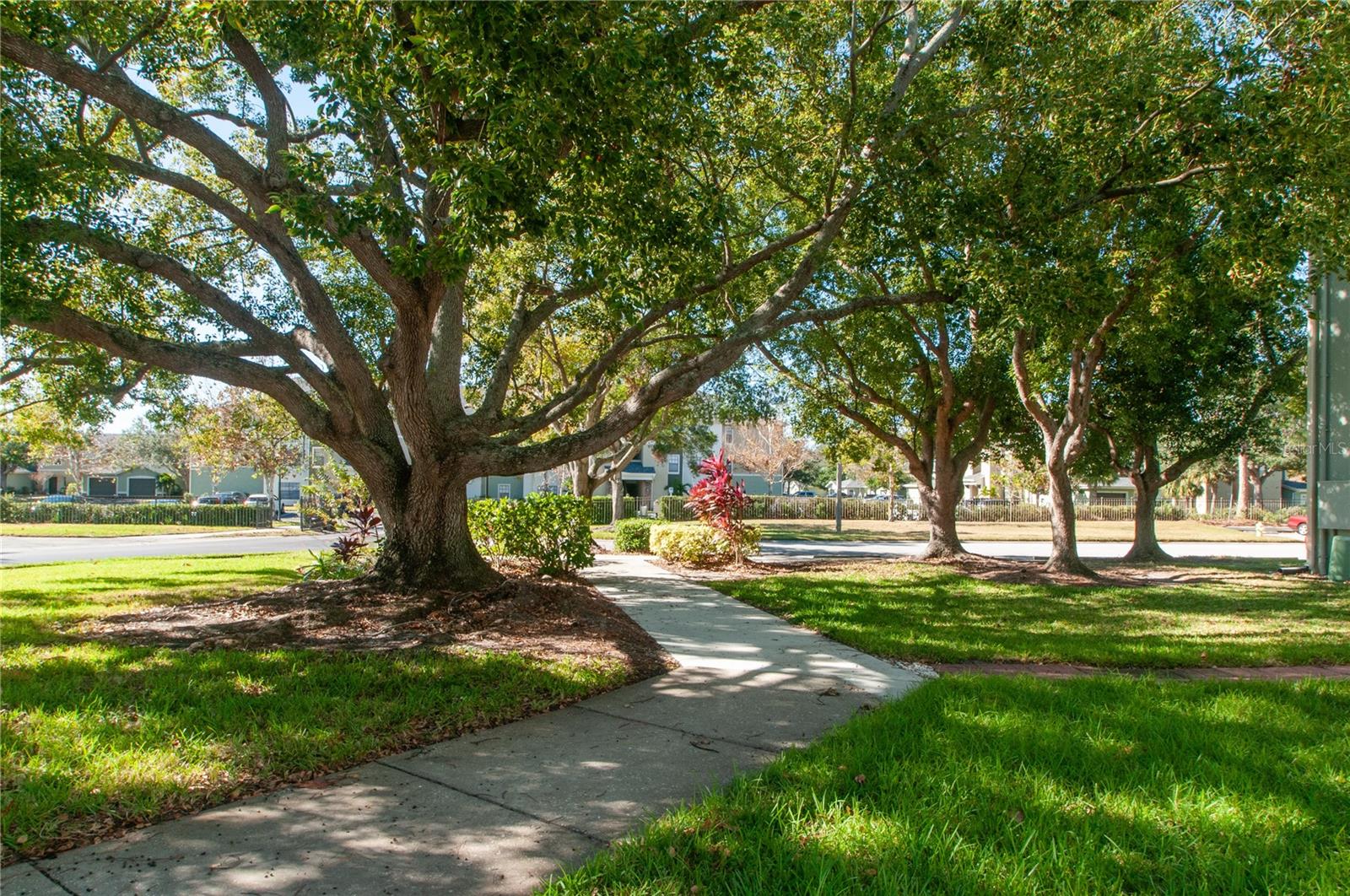 330 PROMENADE DR #207, DUNEDIN, FL, 34698