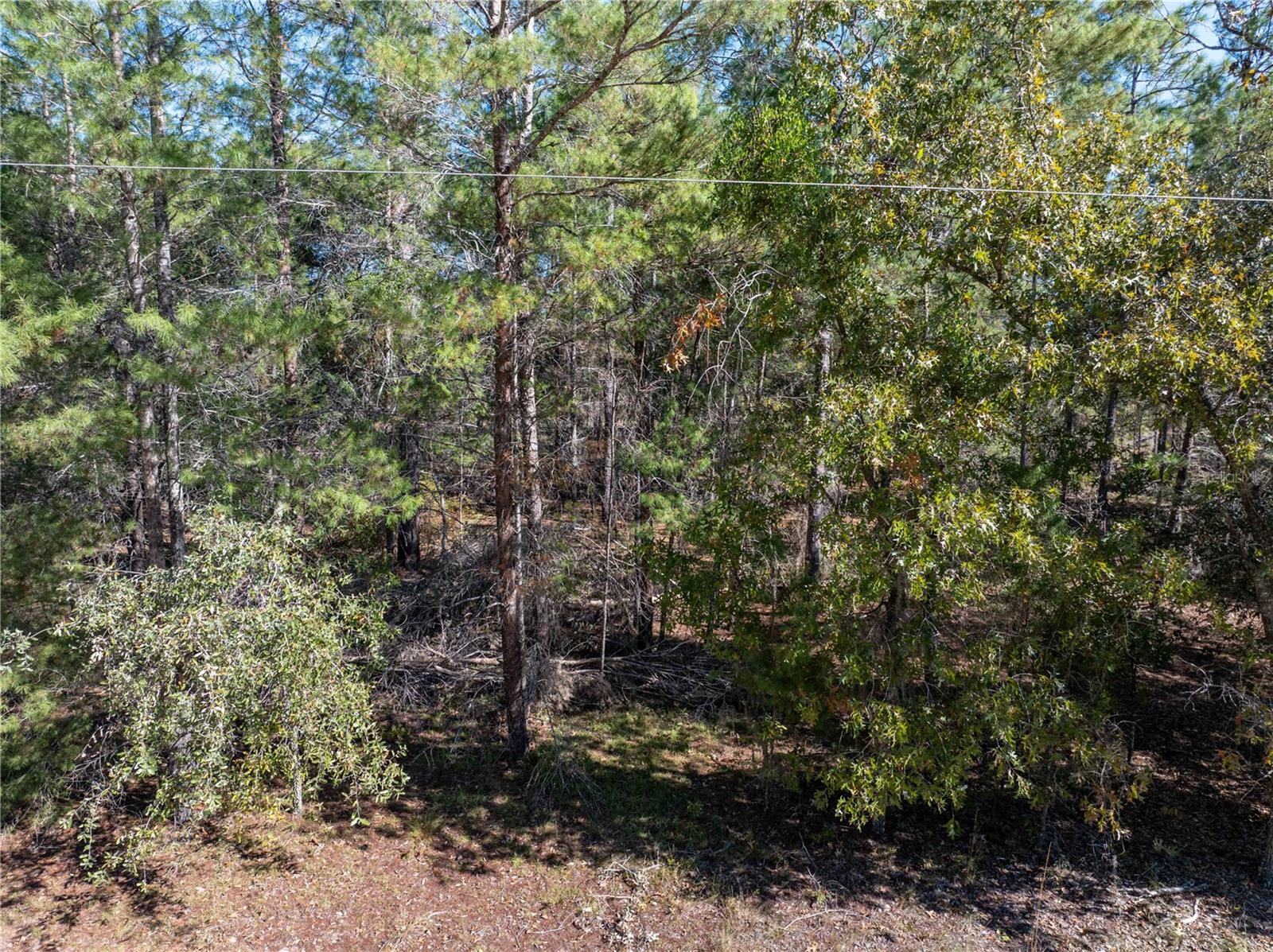 221 MAGNOLIA RD, HAWTHORNE, FL, 32640
