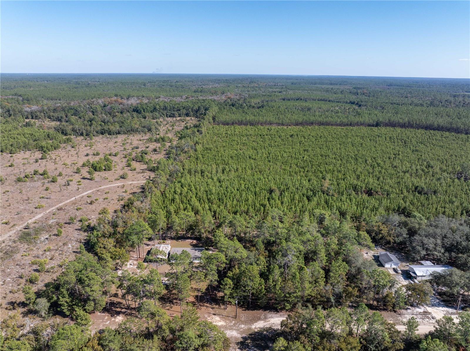 221 MAGNOLIA RD, HAWTHORNE, FL, 32640