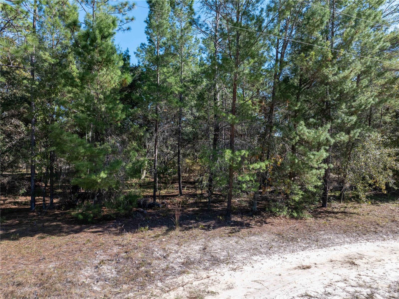 221 MAGNOLIA RD, HAWTHORNE, FL, 32640