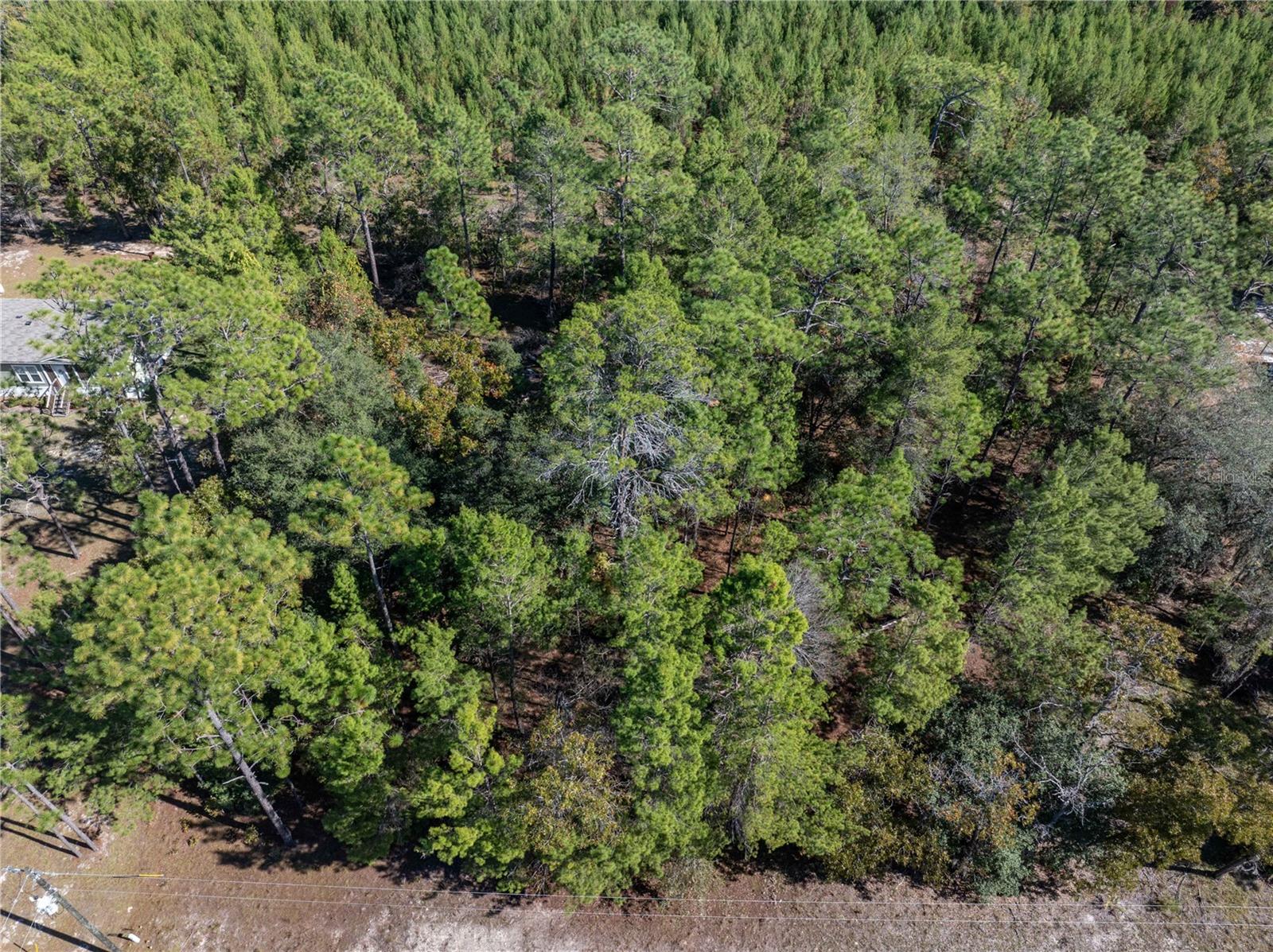 221 MAGNOLIA RD, HAWTHORNE, FL, 32640