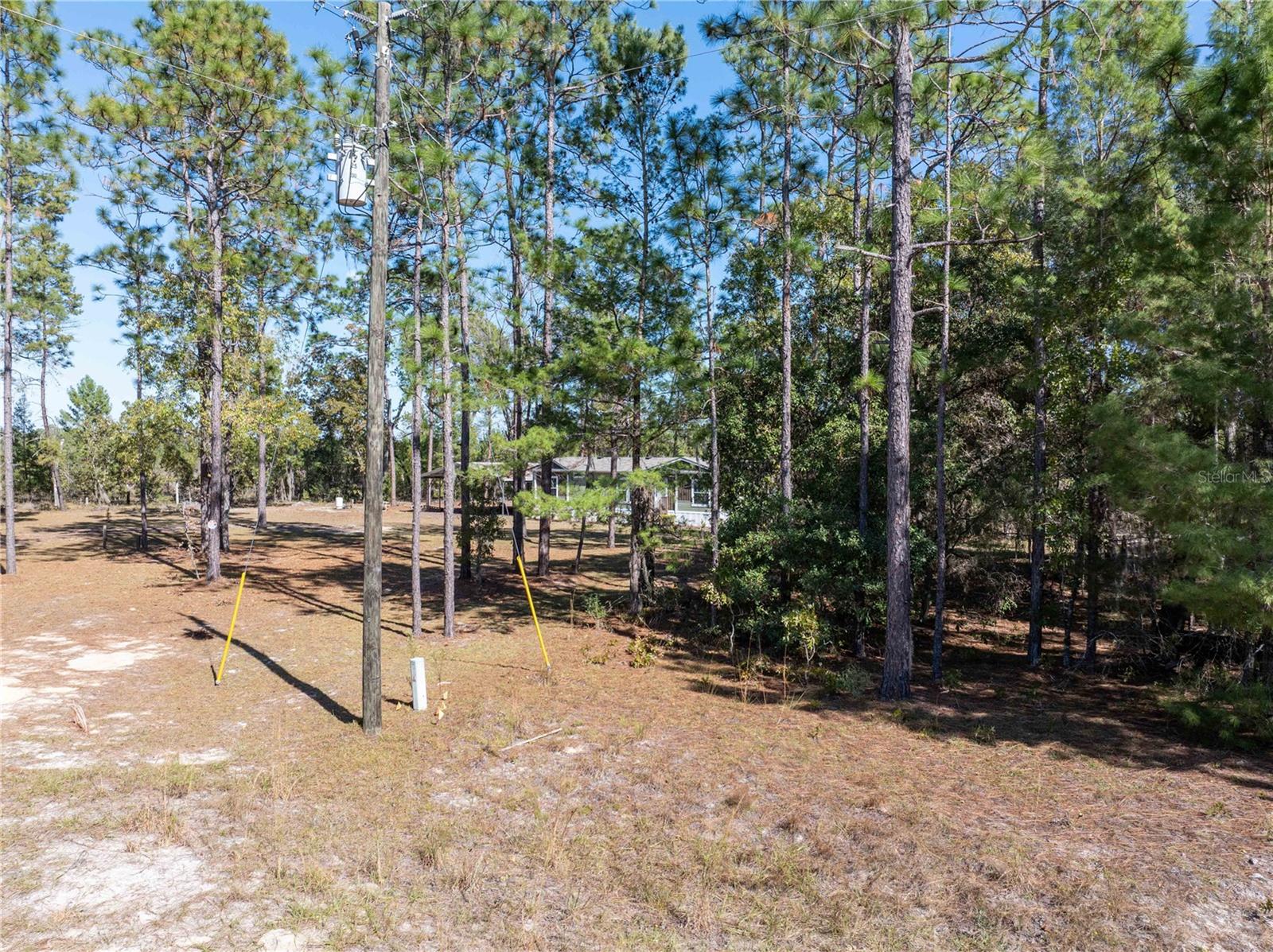221 MAGNOLIA RD, HAWTHORNE, FL, 32640