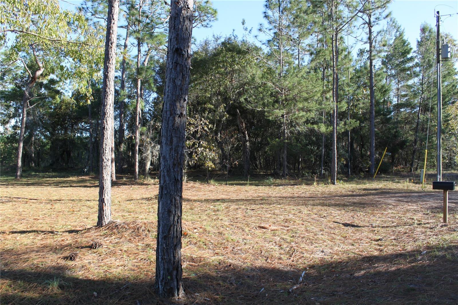 221 MAGNOLIA RD, HAWTHORNE, FL, 32640