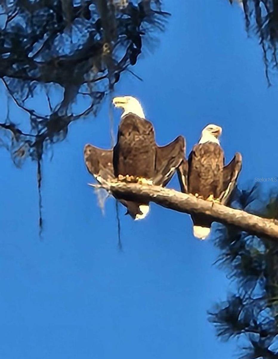 10720 SW 190TH AVE, DUNNELLON, FL, 34432