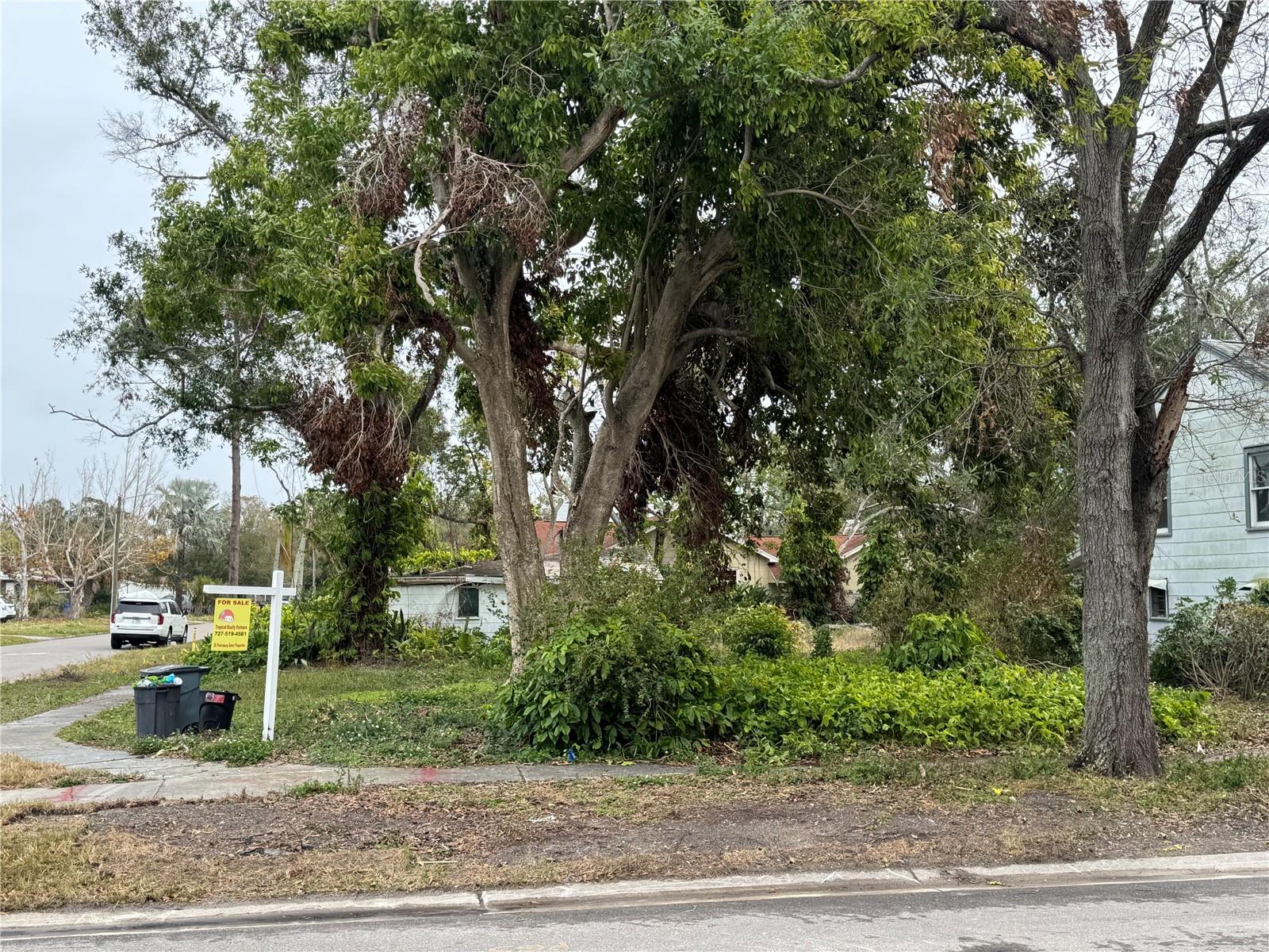 29TH ST N, ST PETERSBURG, FL, 33713