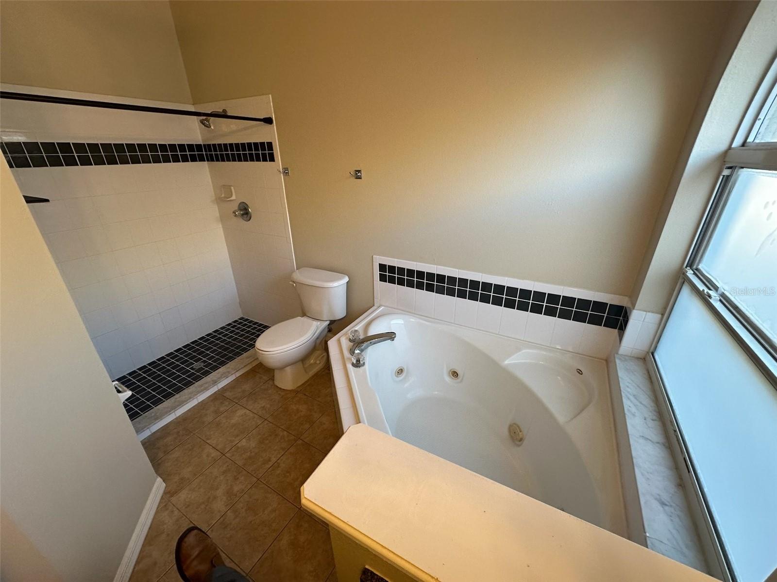 207 BRUSHCREEK DR, SANFORD, FL, 32771