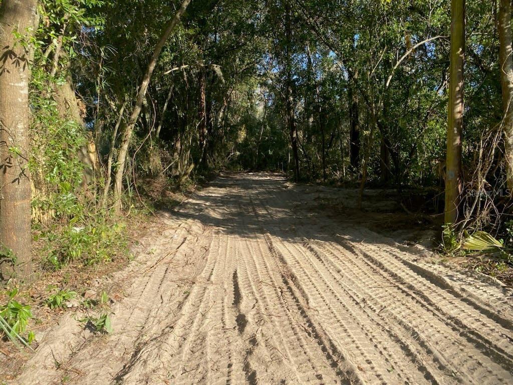 684 SE MURPHY PL, LAKE CITY, FL, 32025