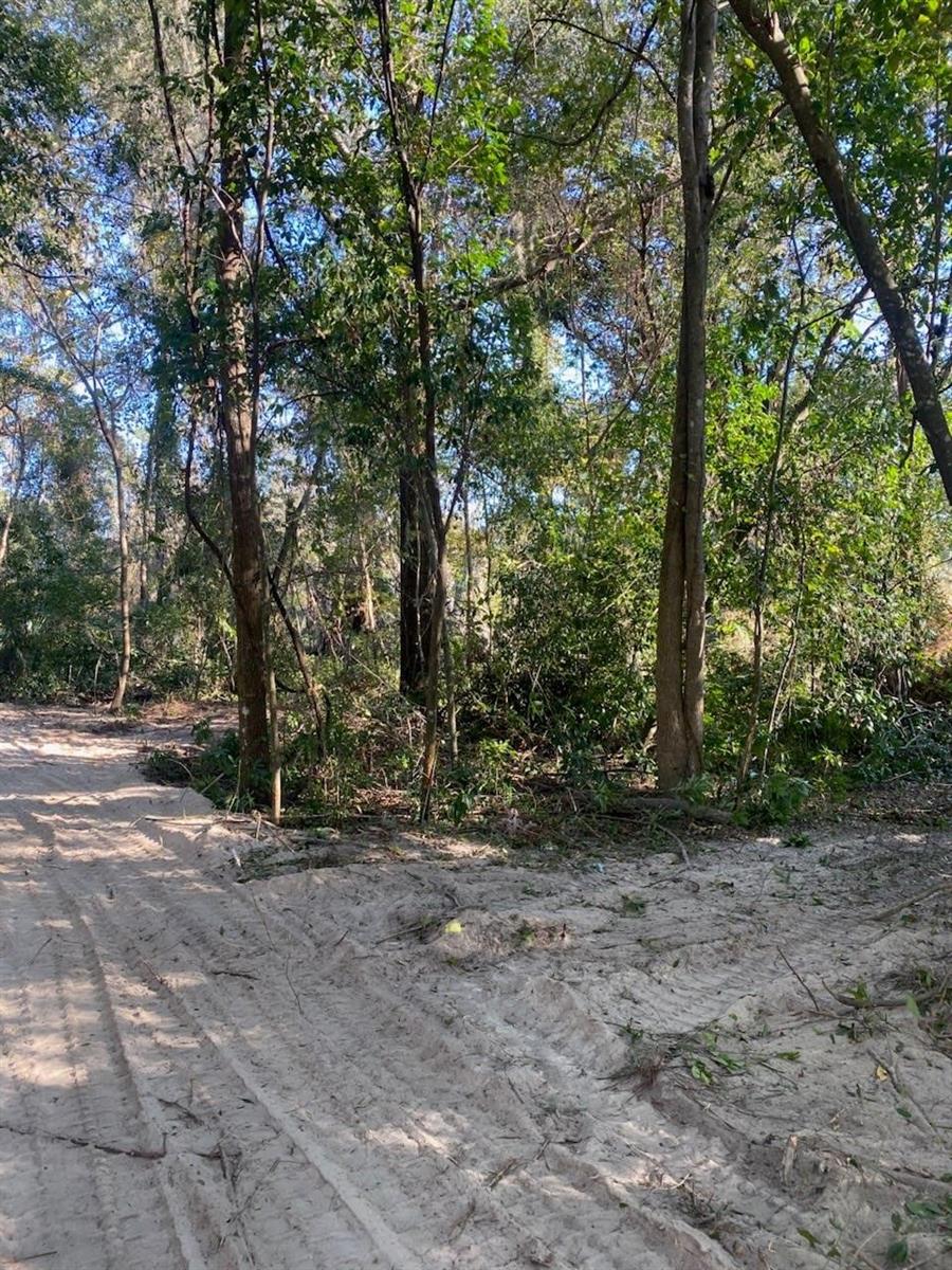 684 SE MURPHY PL, LAKE CITY, FL, 32025