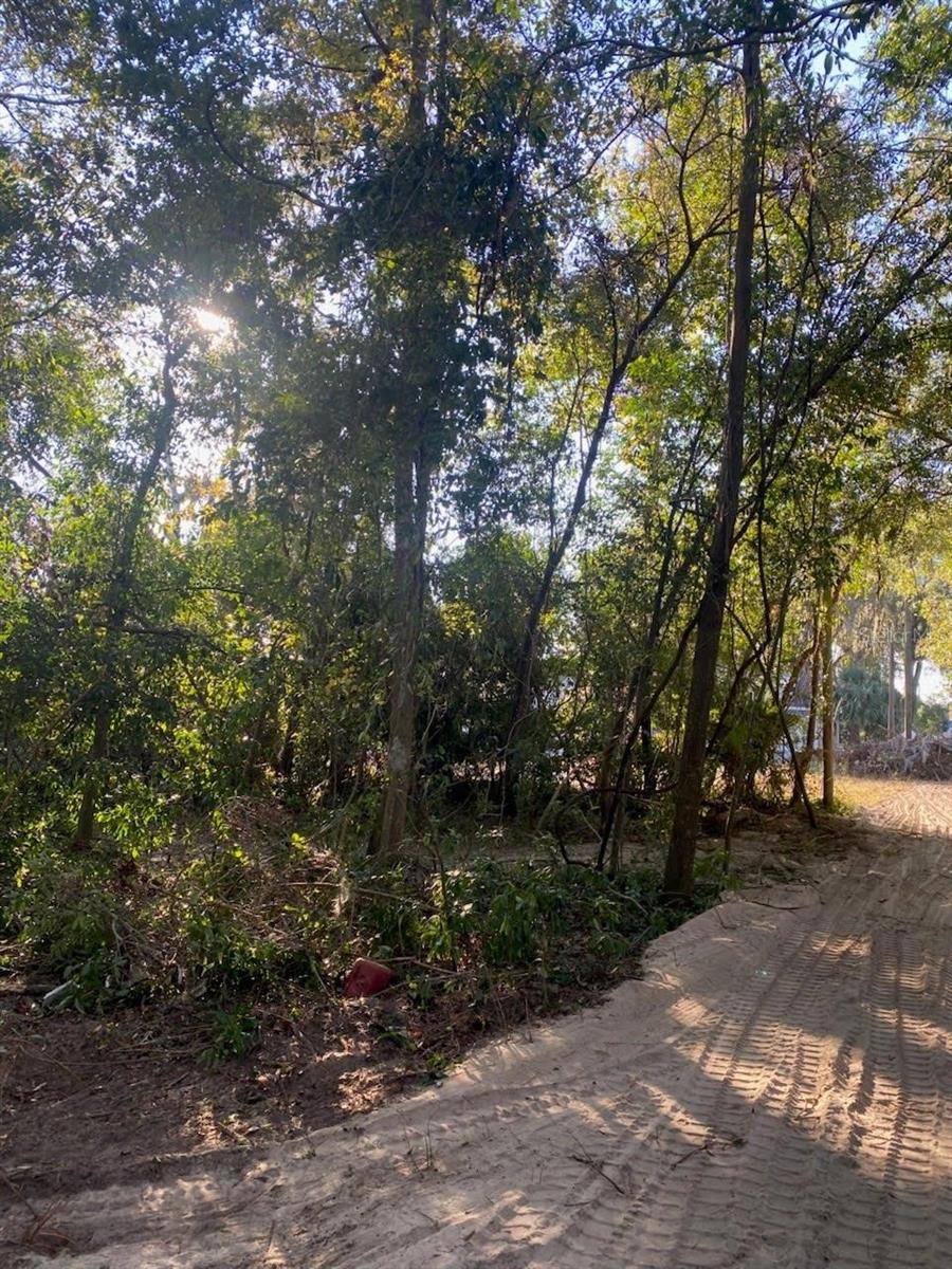684 SE MURPHY PL, LAKE CITY, FL, 32025