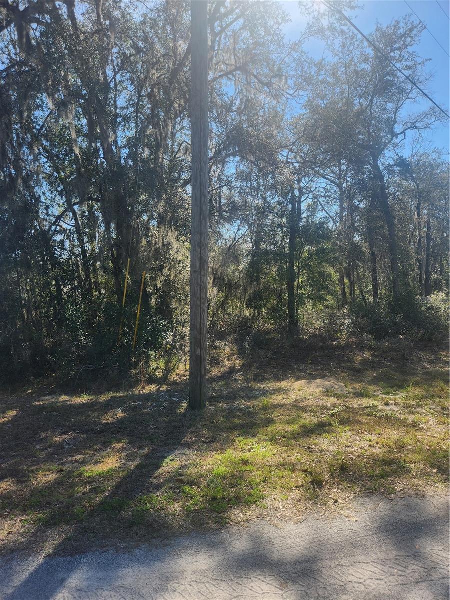 2332 W SUMMER PL, CITRUS SPRINGS, FL, 34434