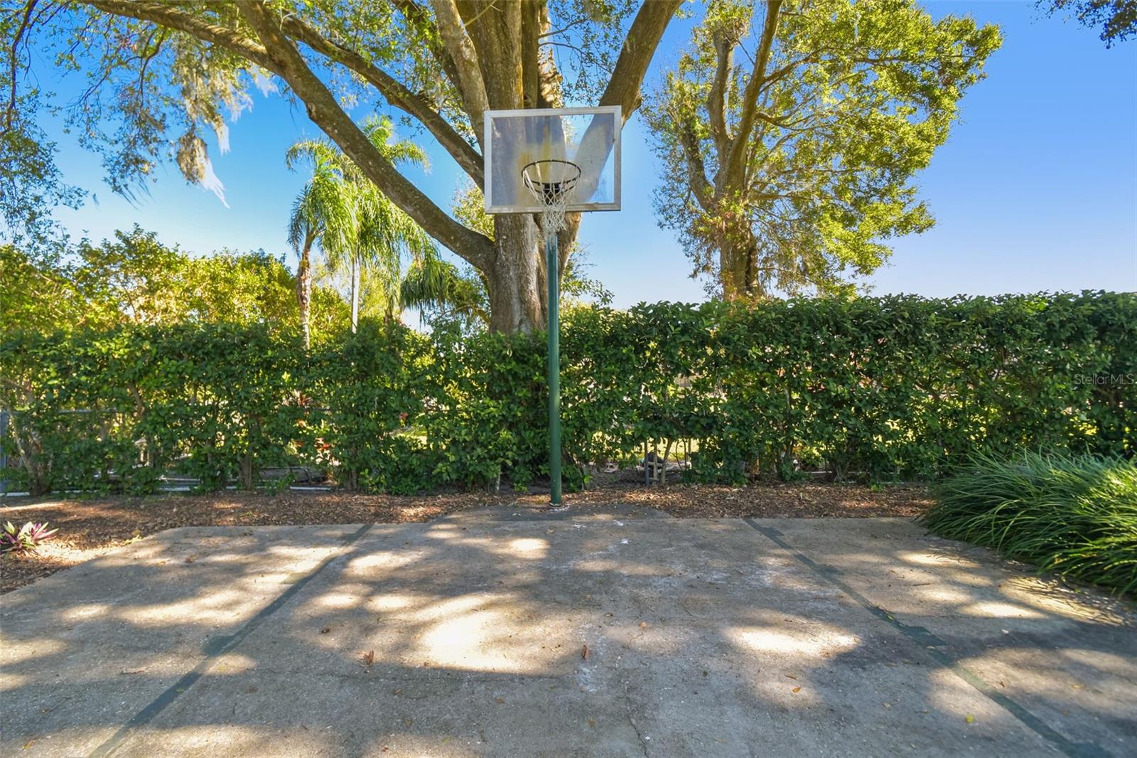 11114 LAKE SASSA DR, THONOTOSASSA, FL, 33592