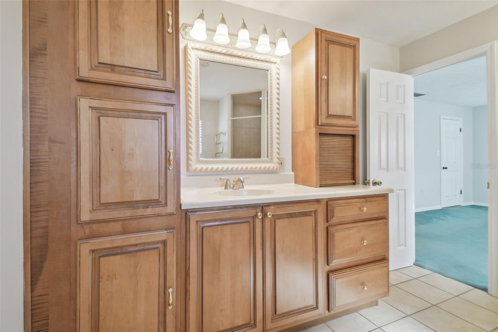 11114 LAKE SASSA DR, THONOTOSASSA, FL, 33592