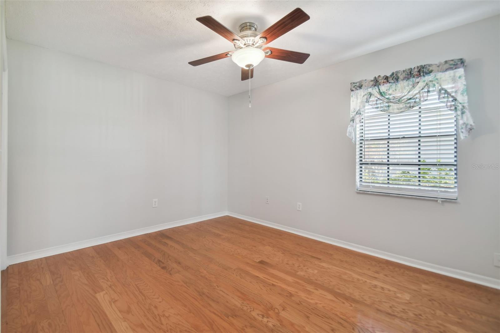 11114 LAKE SASSA DR, THONOTOSASSA, FL, 33592