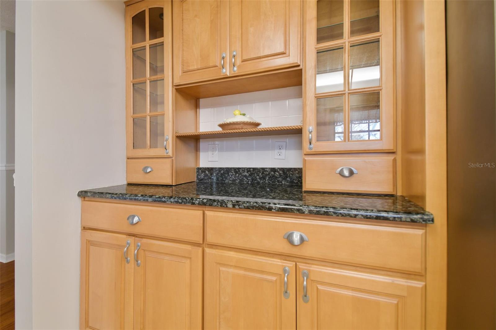 11114 LAKE SASSA DR, THONOTOSASSA, FL, 33592