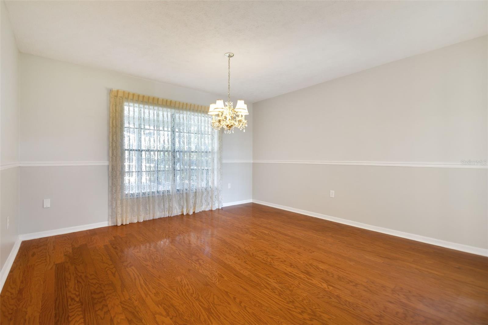 11114 LAKE SASSA DR, THONOTOSASSA, FL, 33592