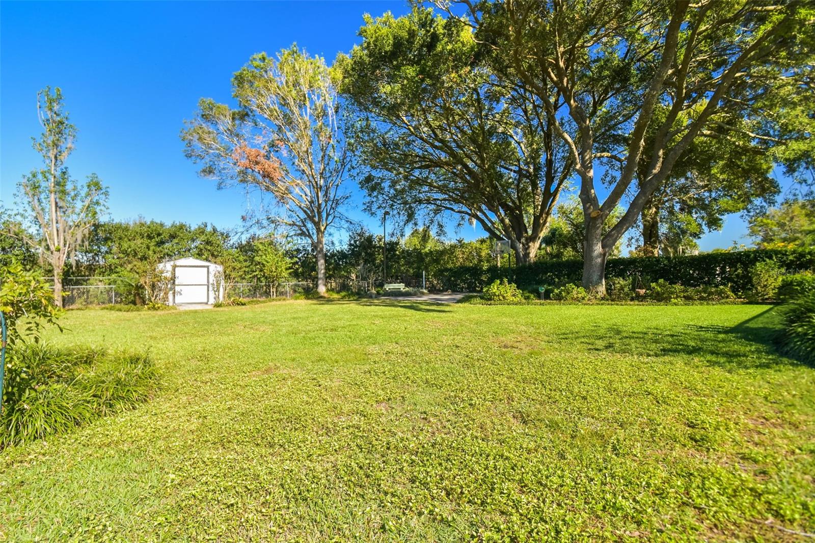 11114 LAKE SASSA DR, THONOTOSASSA, FL, 33592