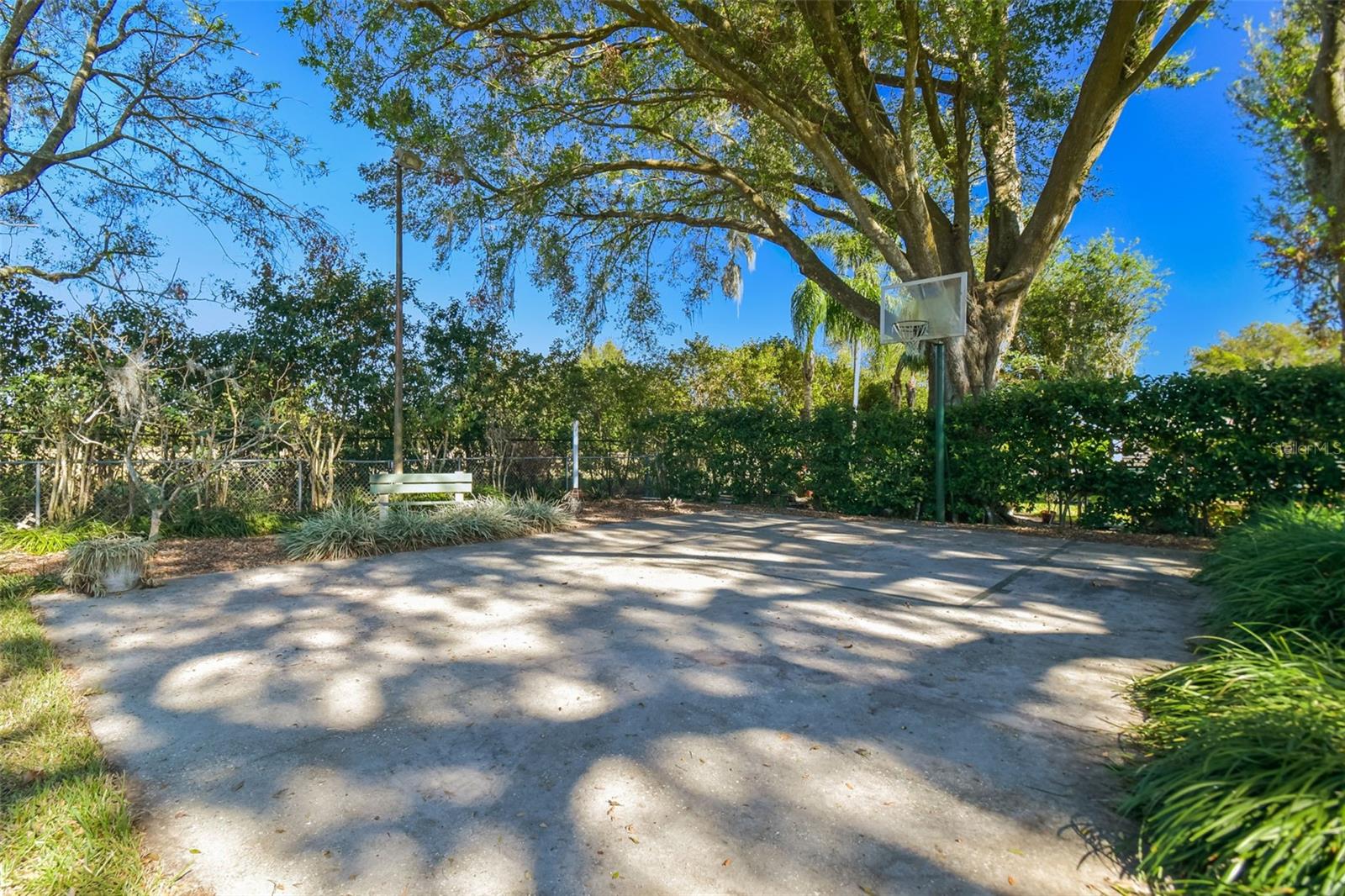 11114 LAKE SASSA DR, THONOTOSASSA, FL, 33592