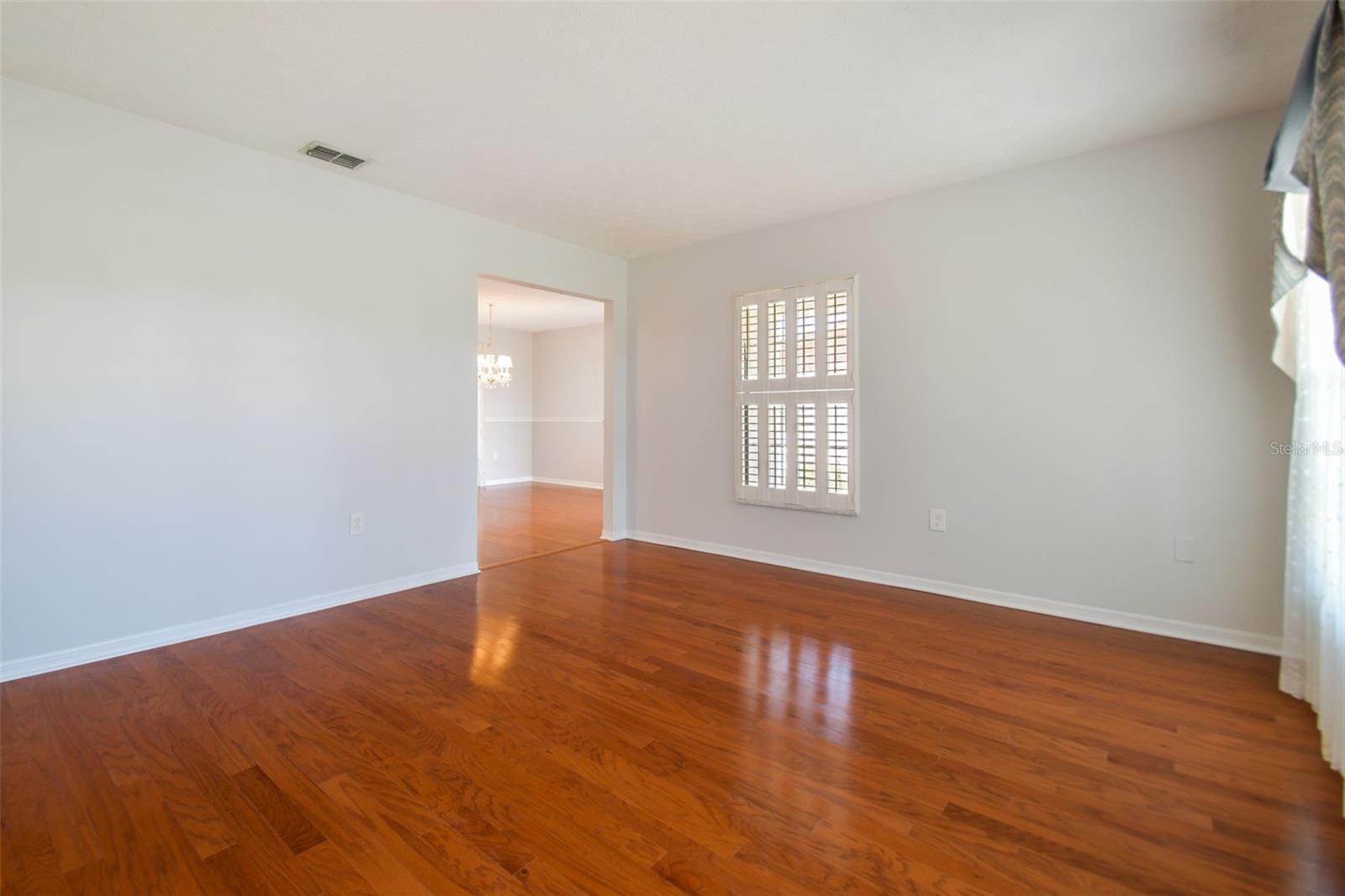 11114 LAKE SASSA DR, THONOTOSASSA, FL, 33592
