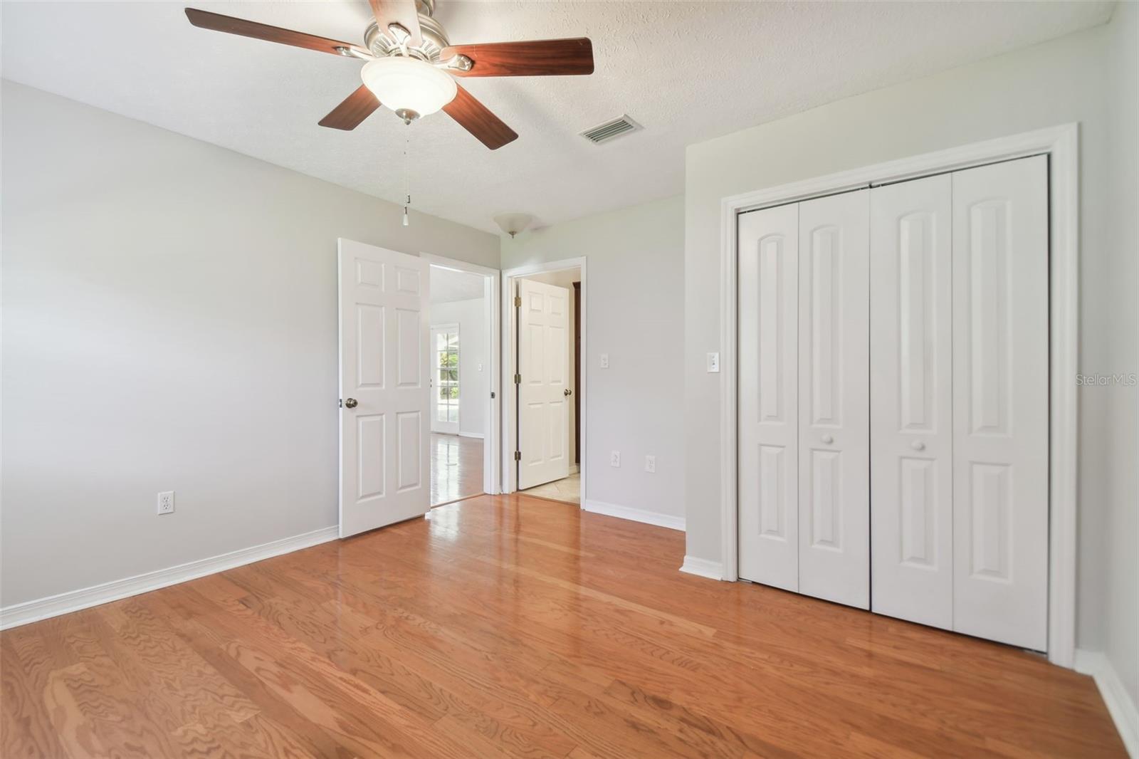 11114 LAKE SASSA DR, THONOTOSASSA, FL, 33592