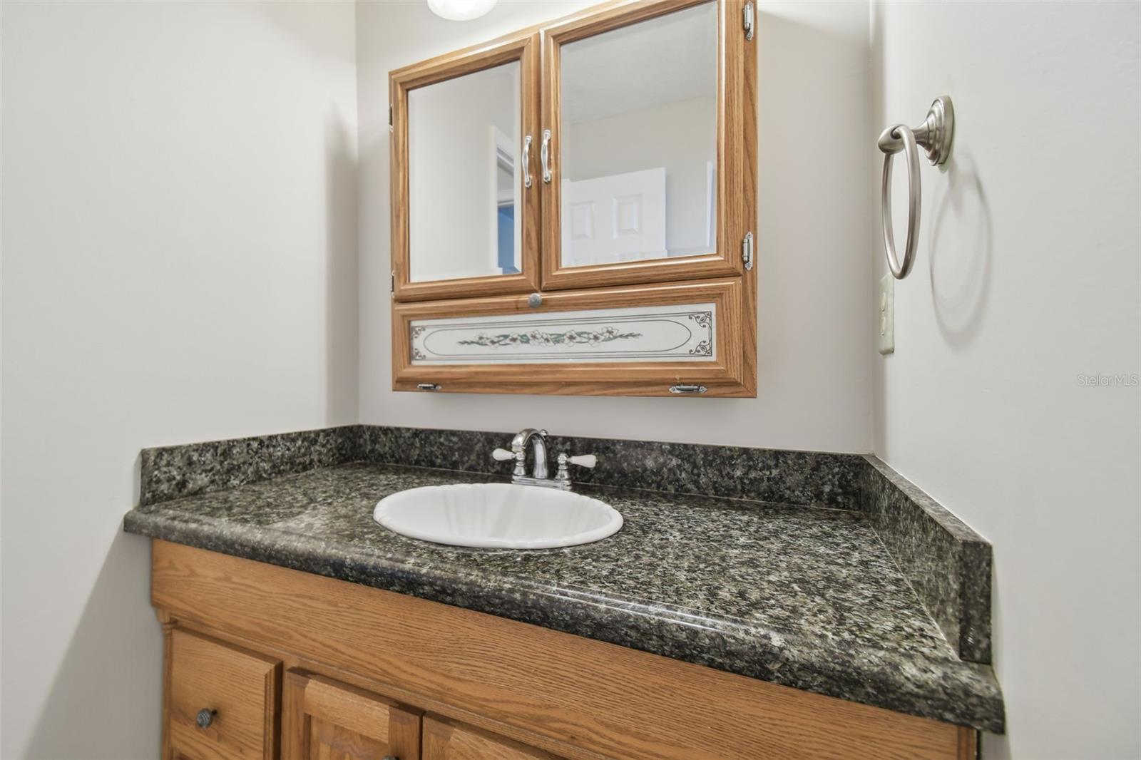 11114 LAKE SASSA DR, THONOTOSASSA, FL, 33592