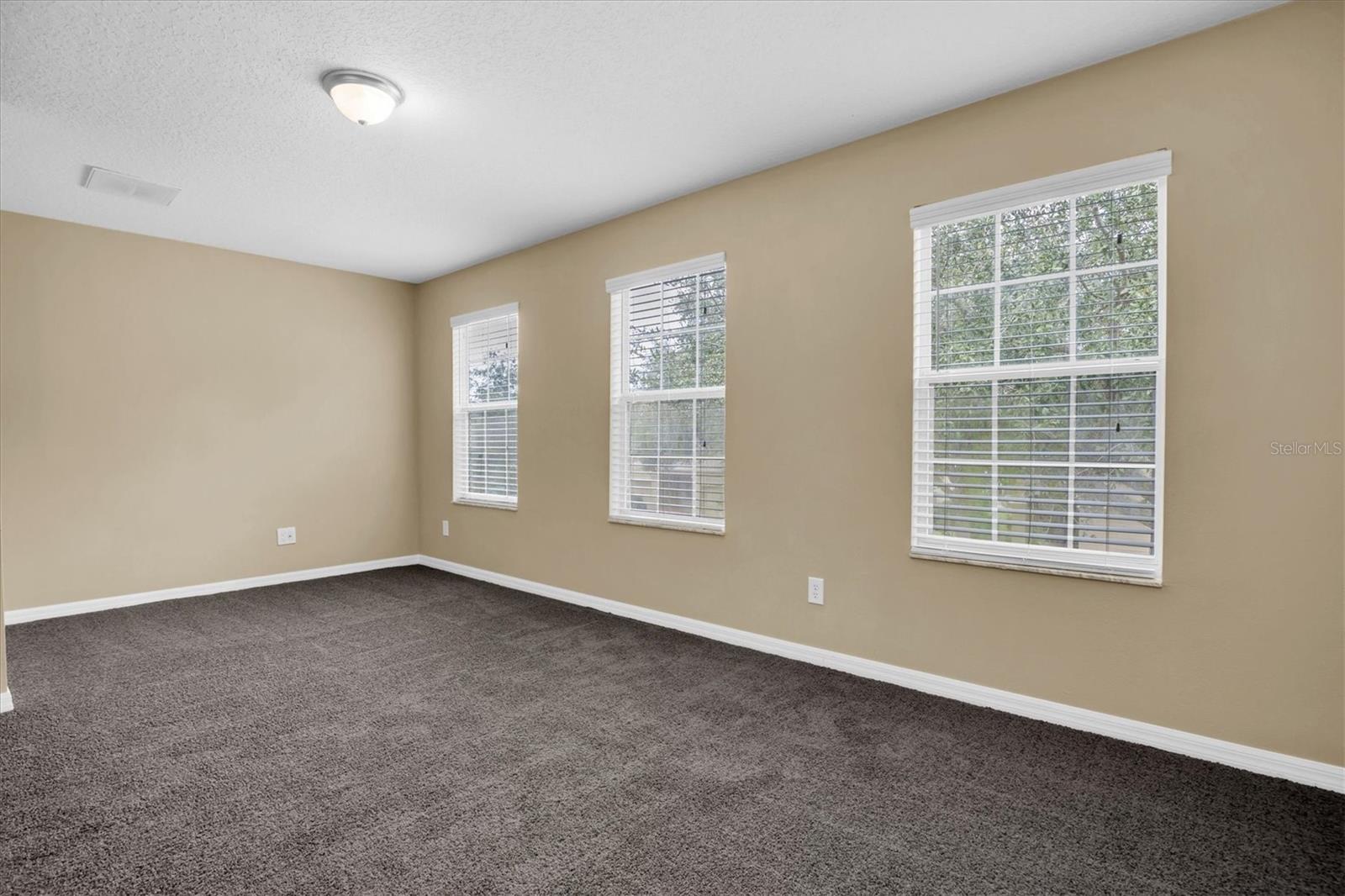 17530 STINCHAR DR, LAND O LAKES, FL, 34638