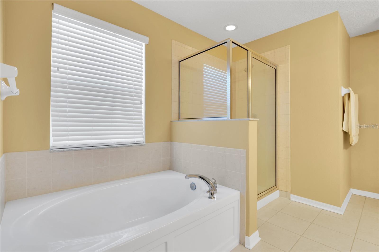 17530 STINCHAR DR, LAND O LAKES, FL, 34638