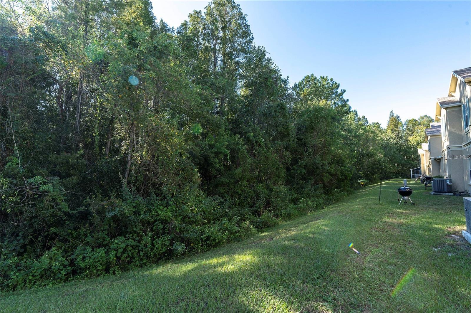 17530 STINCHAR DR, LAND O LAKES, FL, 34638