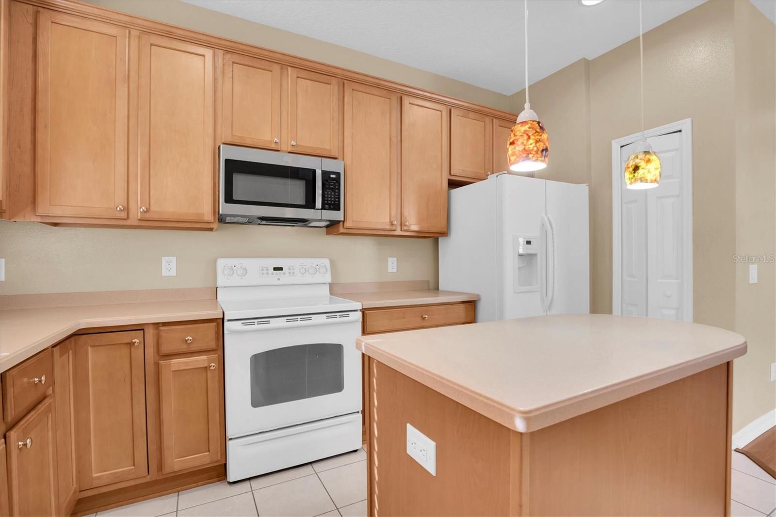 17530 STINCHAR DR, LAND O LAKES, FL, 34638