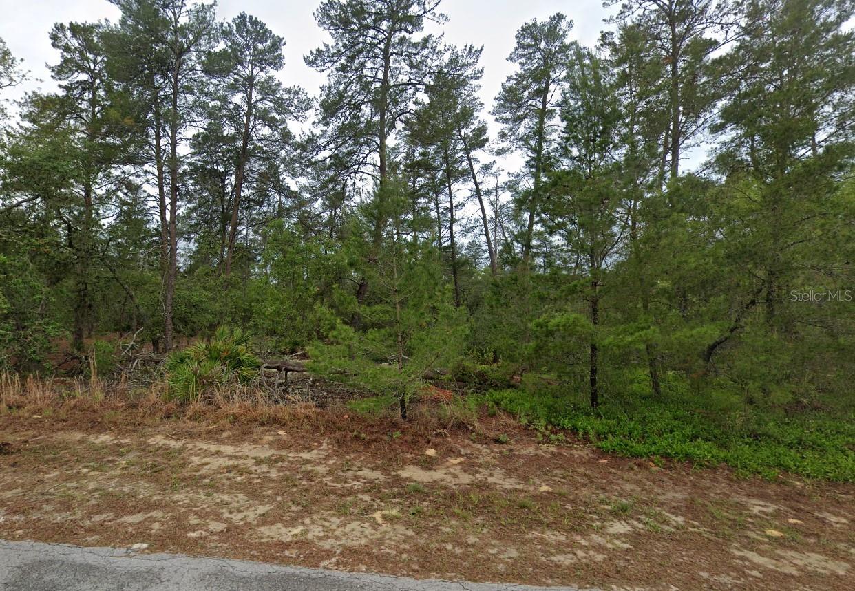 9 LONE PINE ST, HOMOSASSA, FL, 34446