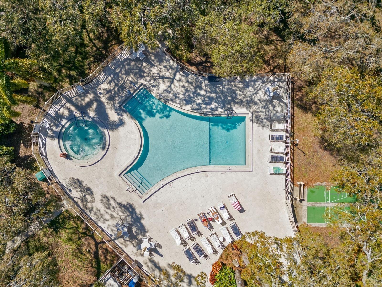 820 PATRICIA AVE #207, DUNEDIN, FL, 34698
