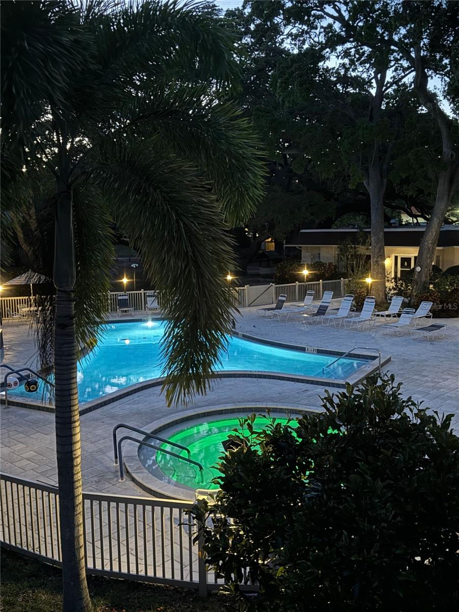 820 PATRICIA AVE #207, DUNEDIN, FL, 34698