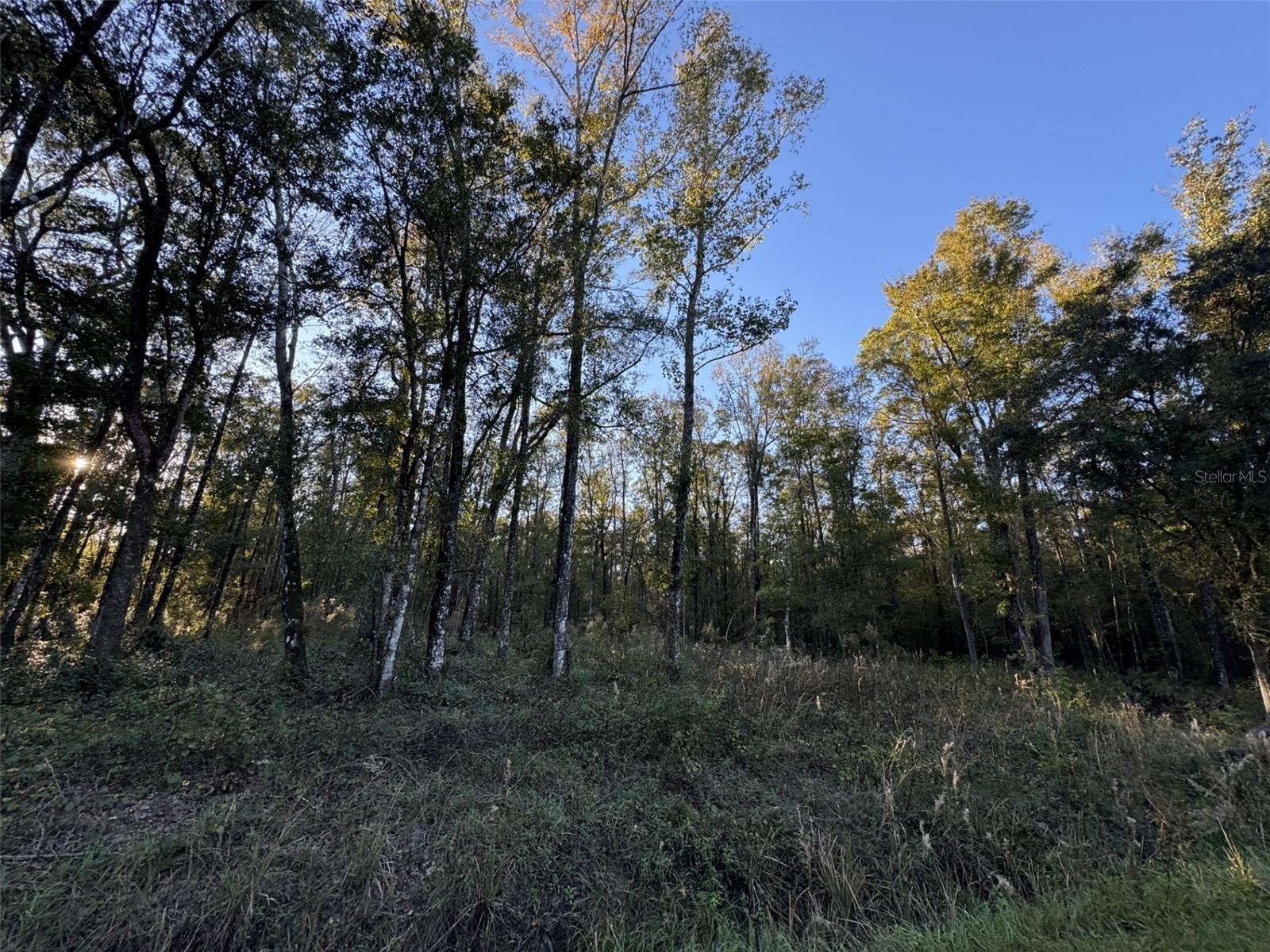 10175 YEAGER AVE, HASTINGS, FL, 32145