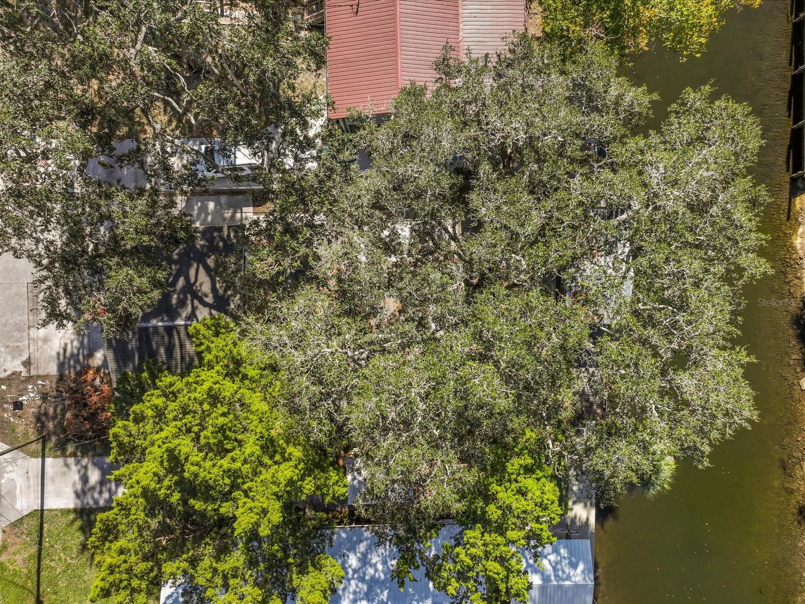 7195 BETHESDA CT, WEEKI WACHEE, FL, 34607