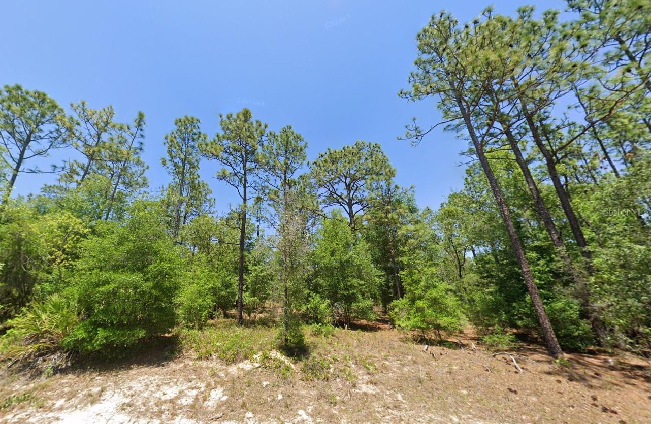 9181 SW 210 CIR, DUNNELLON, FL, 34431