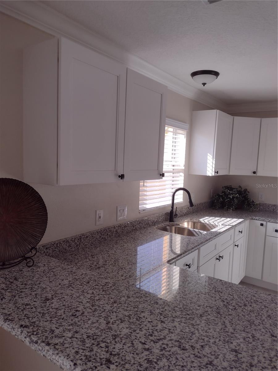 1117 SAN BERNARDO RD, THE VILLAGES, FL, 32162