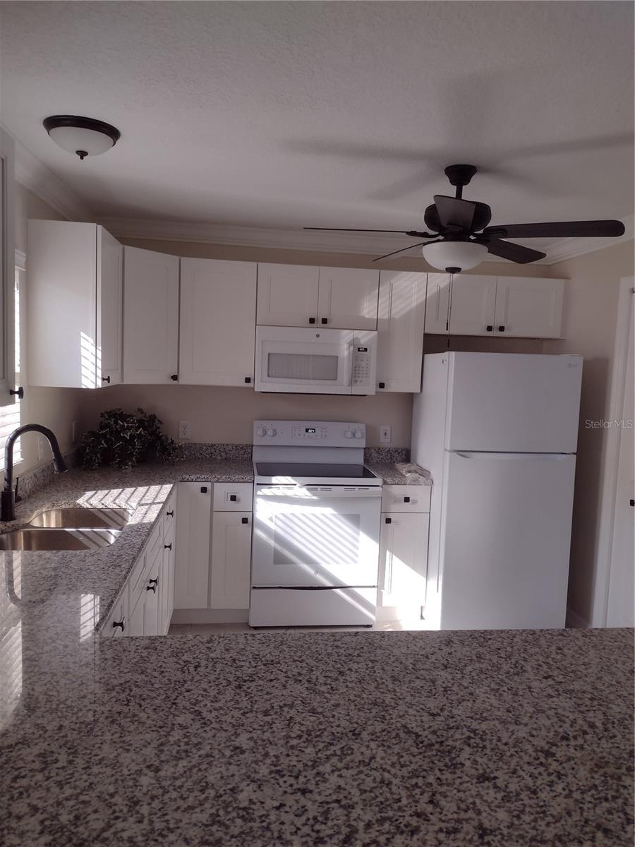 1117 SAN BERNARDO RD, THE VILLAGES, FL, 32162