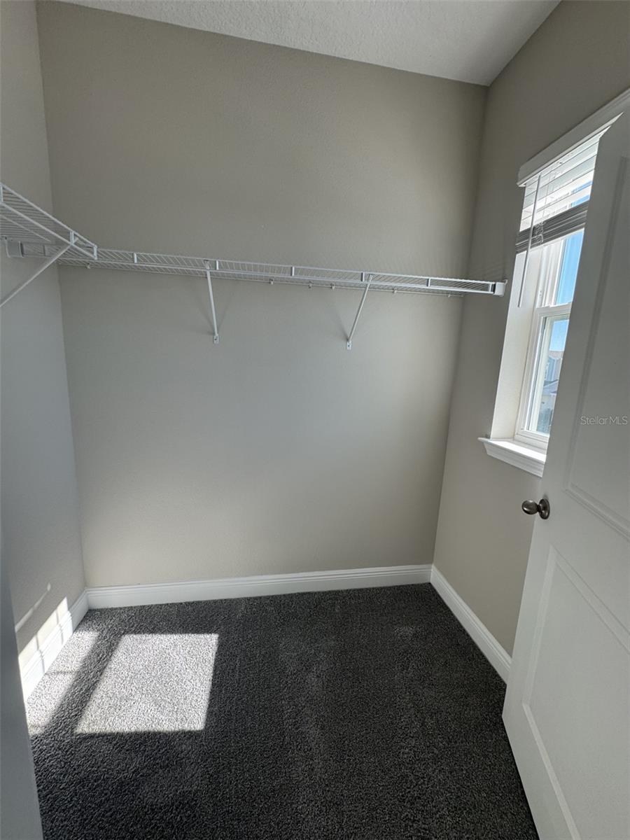 16381 HAMLIN HILLS RD, WINTER GARDEN, FL, 34787