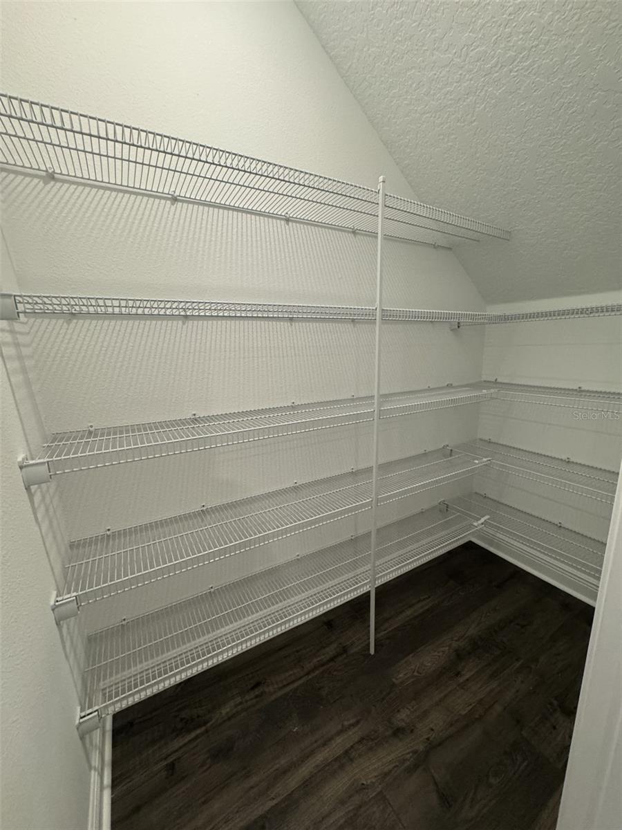 16381 HAMLIN HILLS RD, WINTER GARDEN, FL, 34787