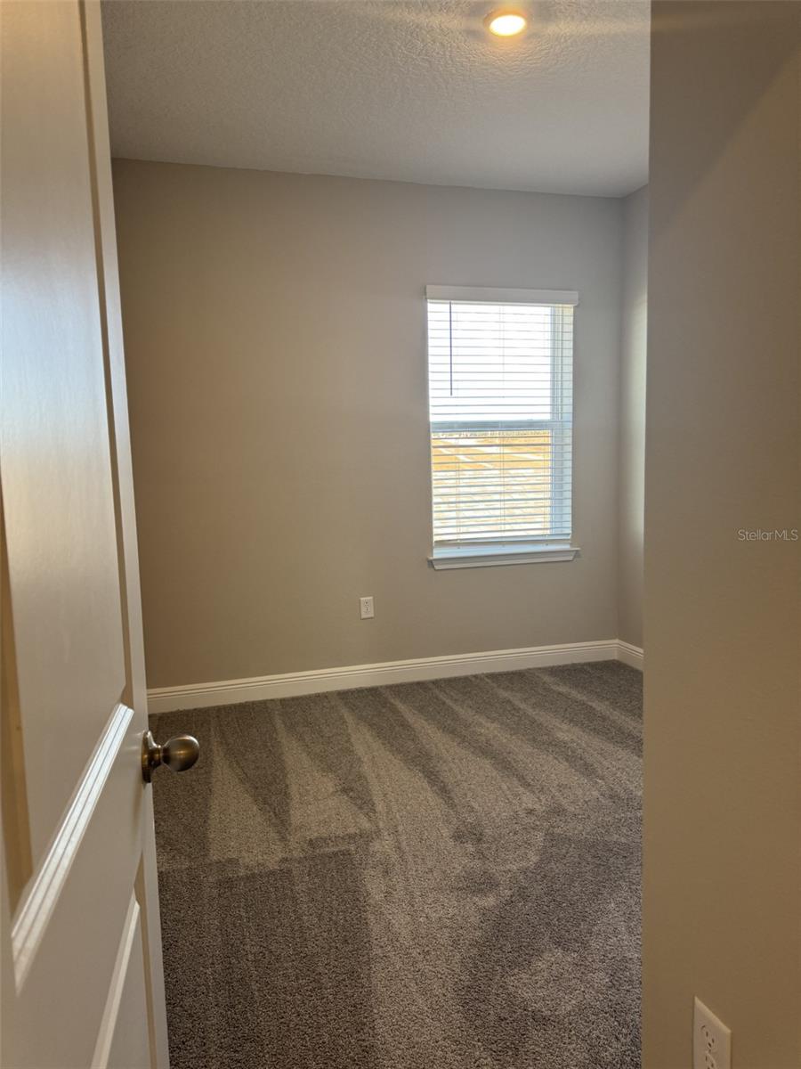 16381 HAMLIN HILLS RD, WINTER GARDEN, FL, 34787