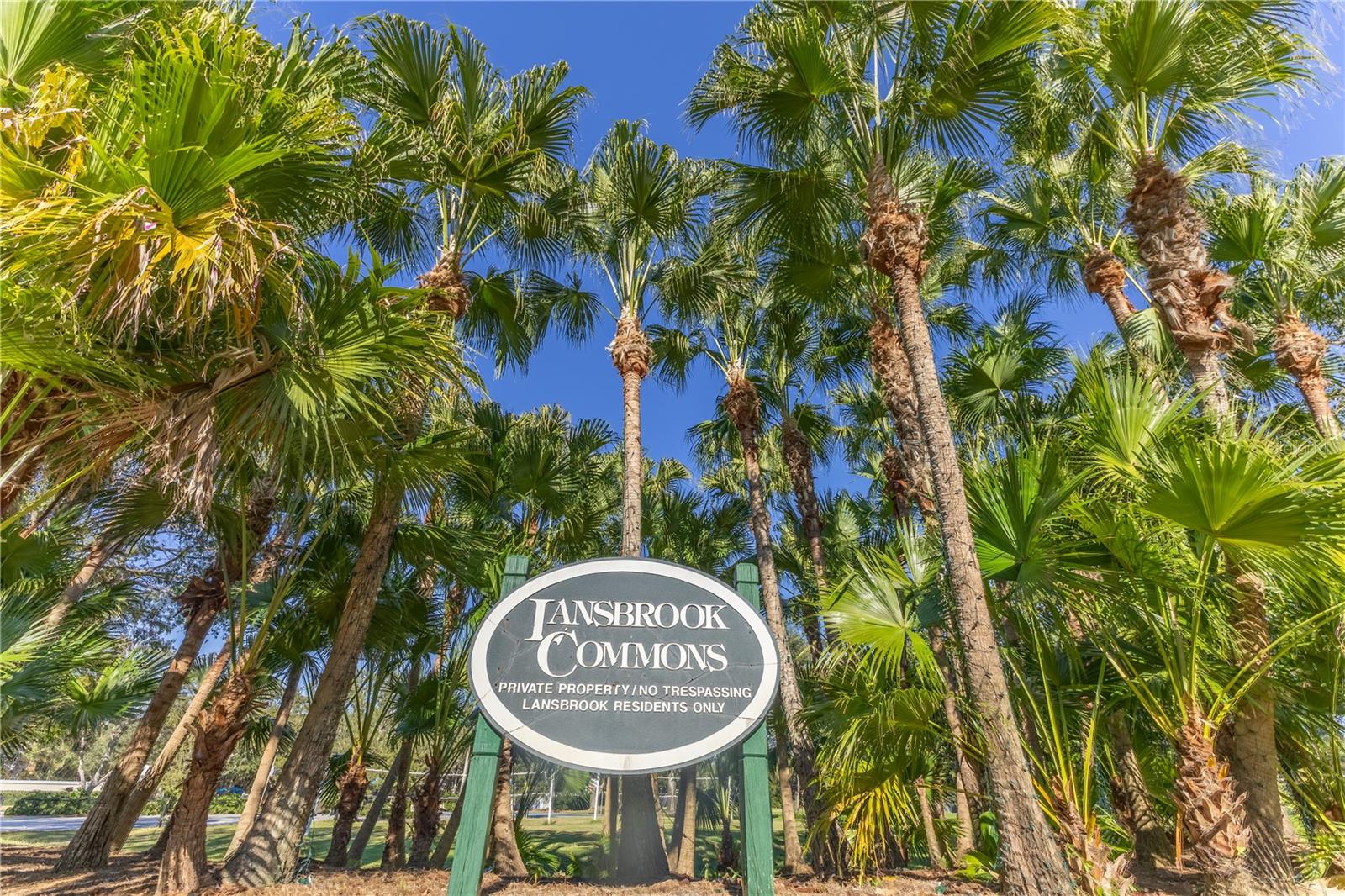 5211 KARLSBURG PL, PALM HARBOR, FL, 34685