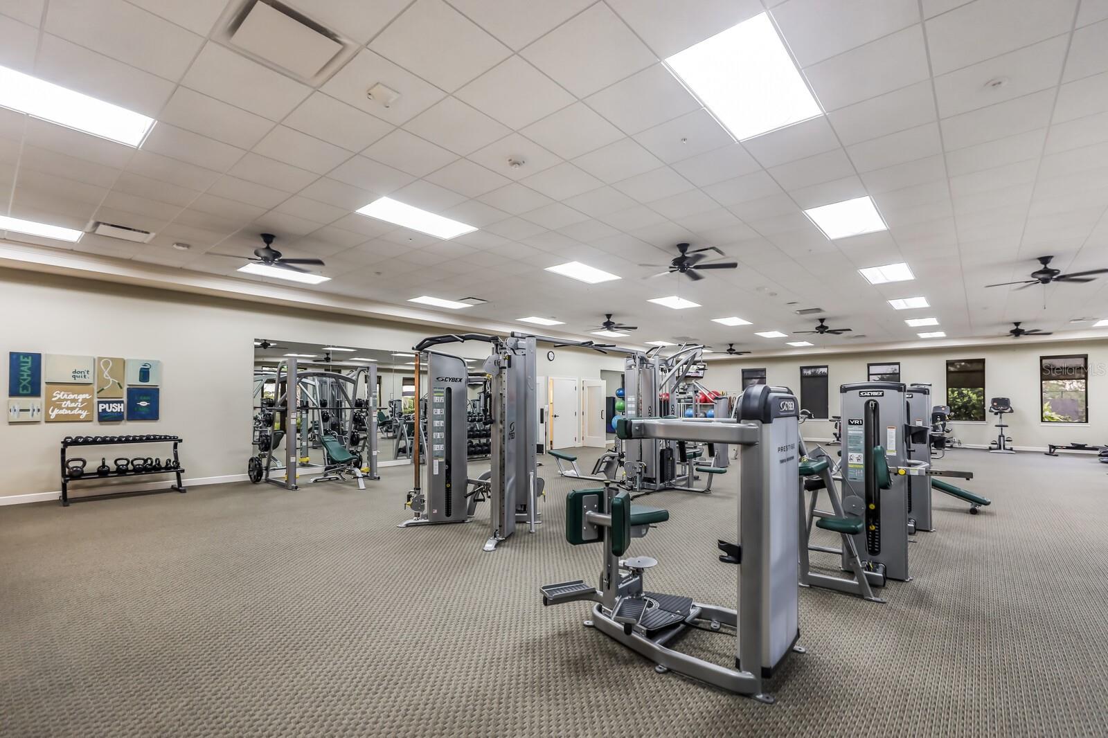 23964 SKYFLOWER CT, VENICE, FL, 34293