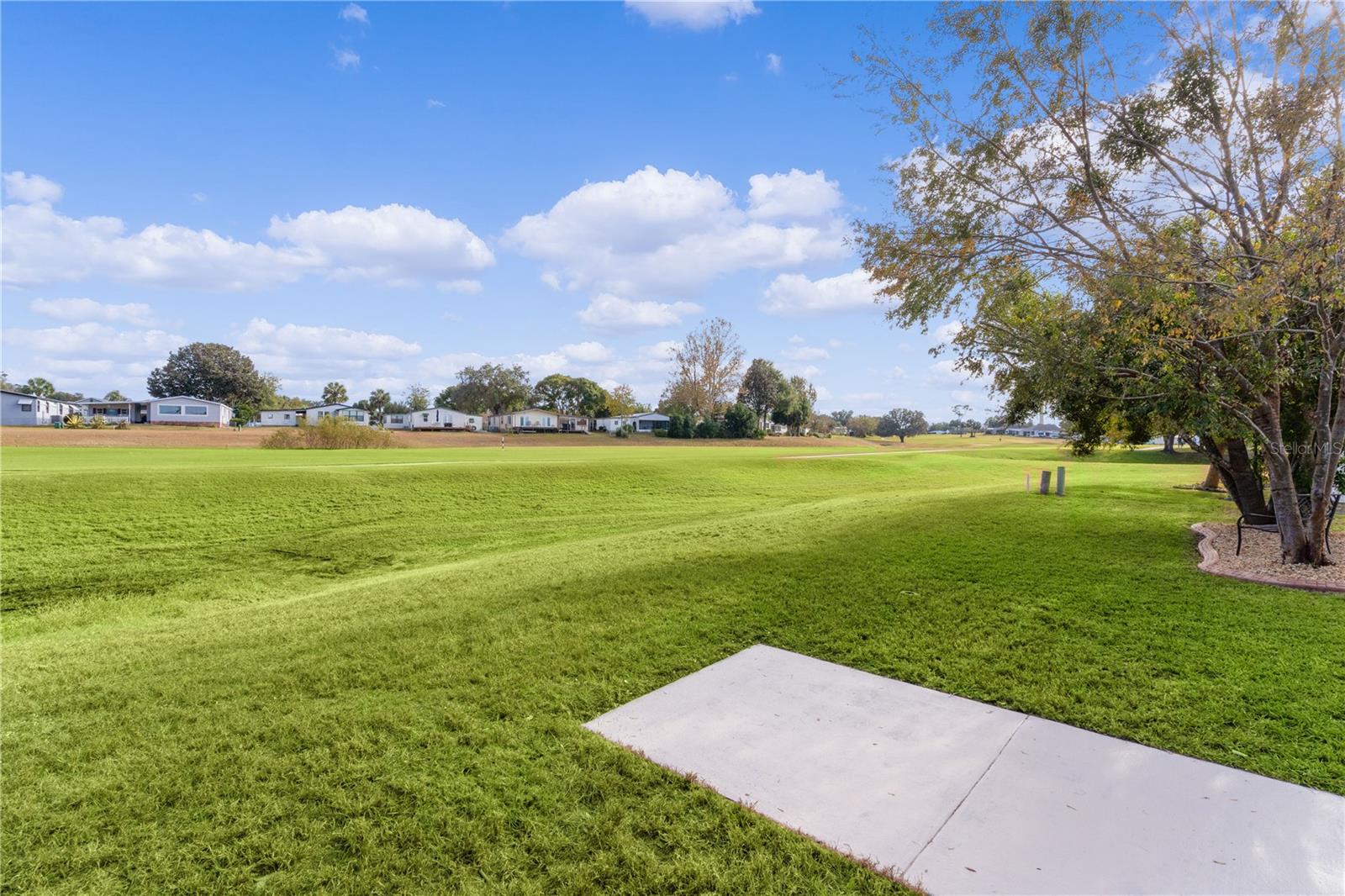 930 ORCHID ST, THE VILLAGES, FL, 32159