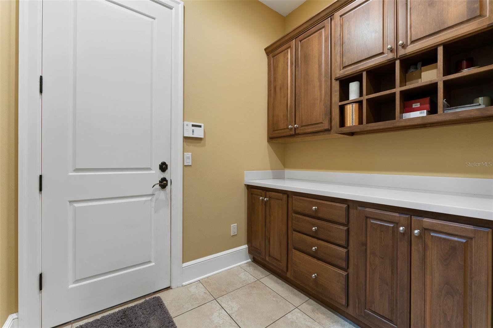 7713 STILL LAKES DR, ODESSA, FL, 33556