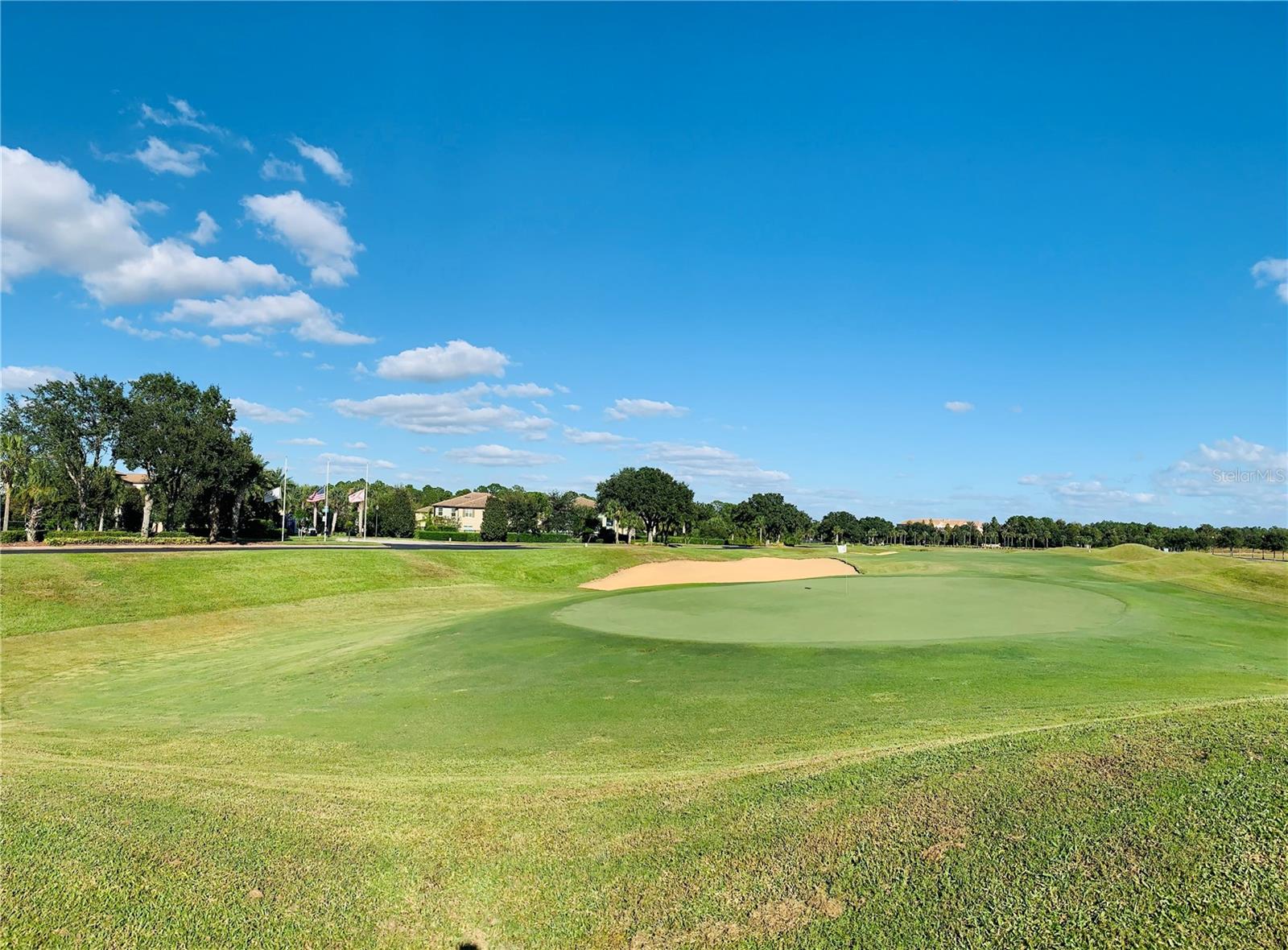 1119 BLACKWOLF RUN RD, CHAMPIONS GATE, FL, 33896