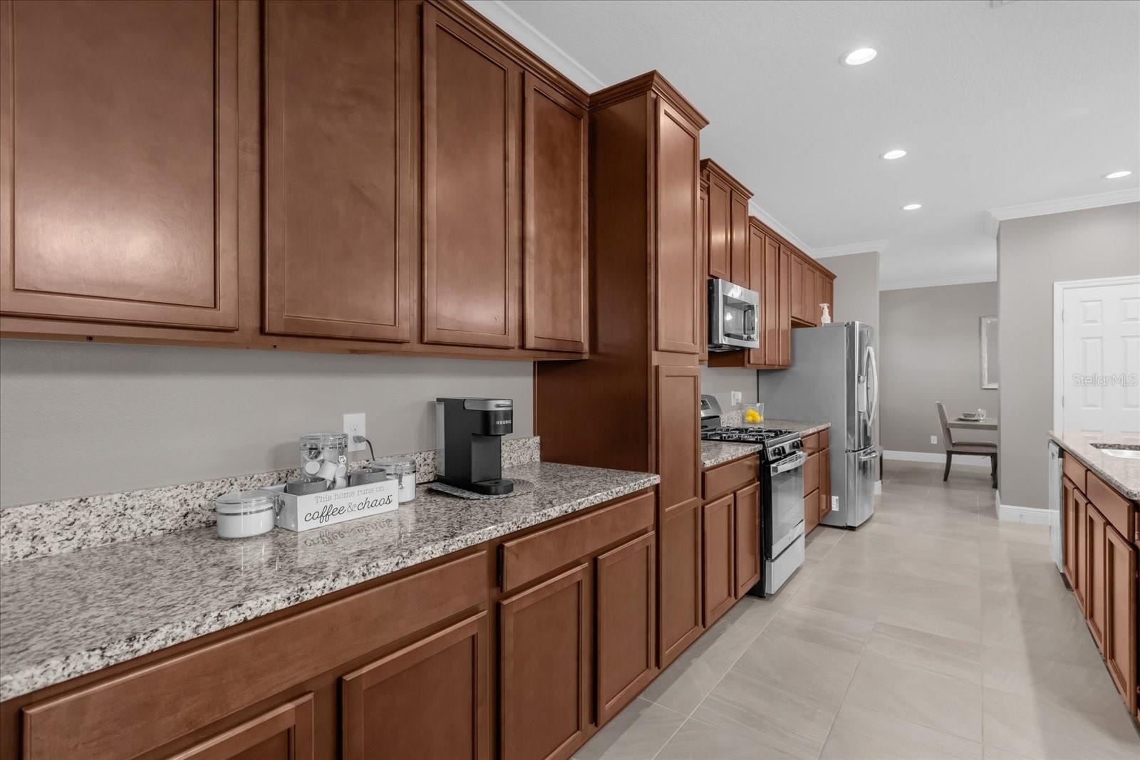 1150 BLARNEY ST, MINNEOLA, FL, 34715