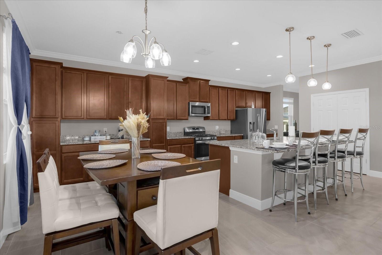 1150 BLARNEY ST, MINNEOLA, FL, 34715