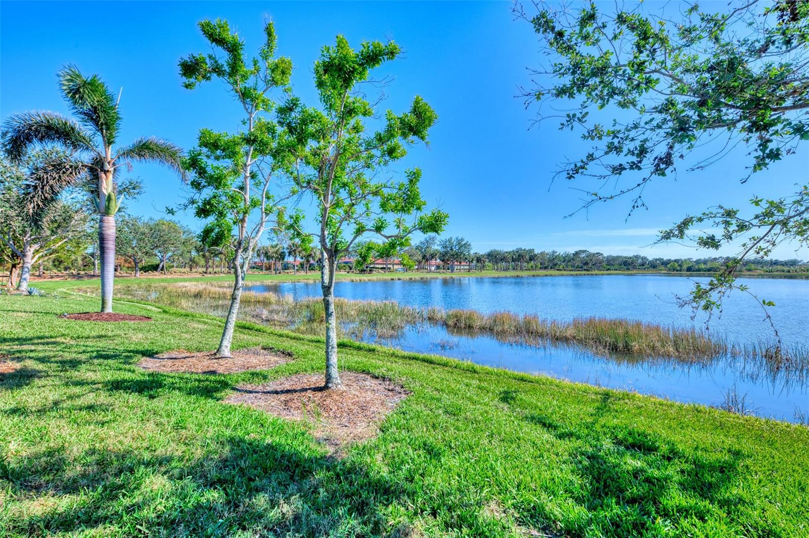 23633 COPPERLEAF DR, VENICE, FL, 34293