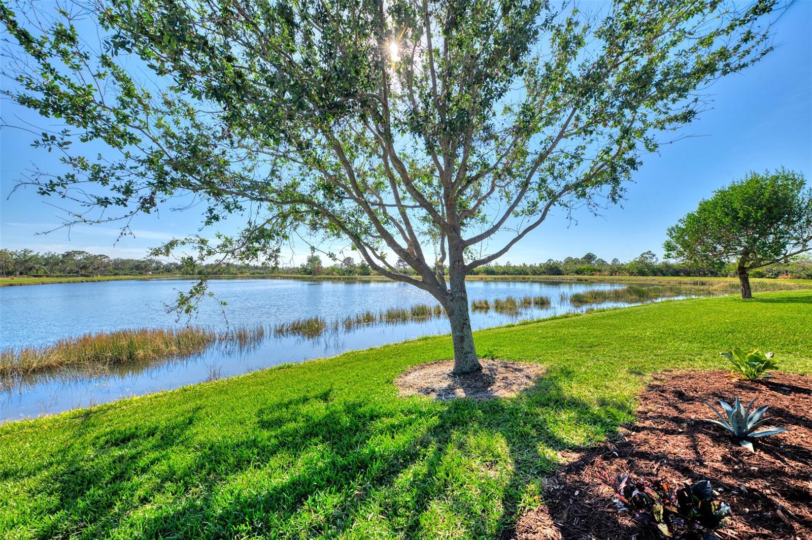 23633 COPPERLEAF DR, VENICE, FL, 34293