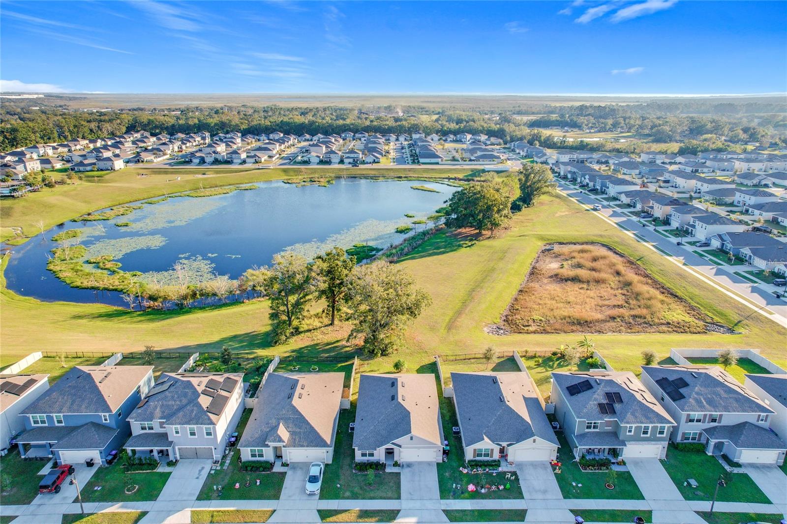 3290 LOGAN BERRY DR, MOUNT DORA, FL, 32757