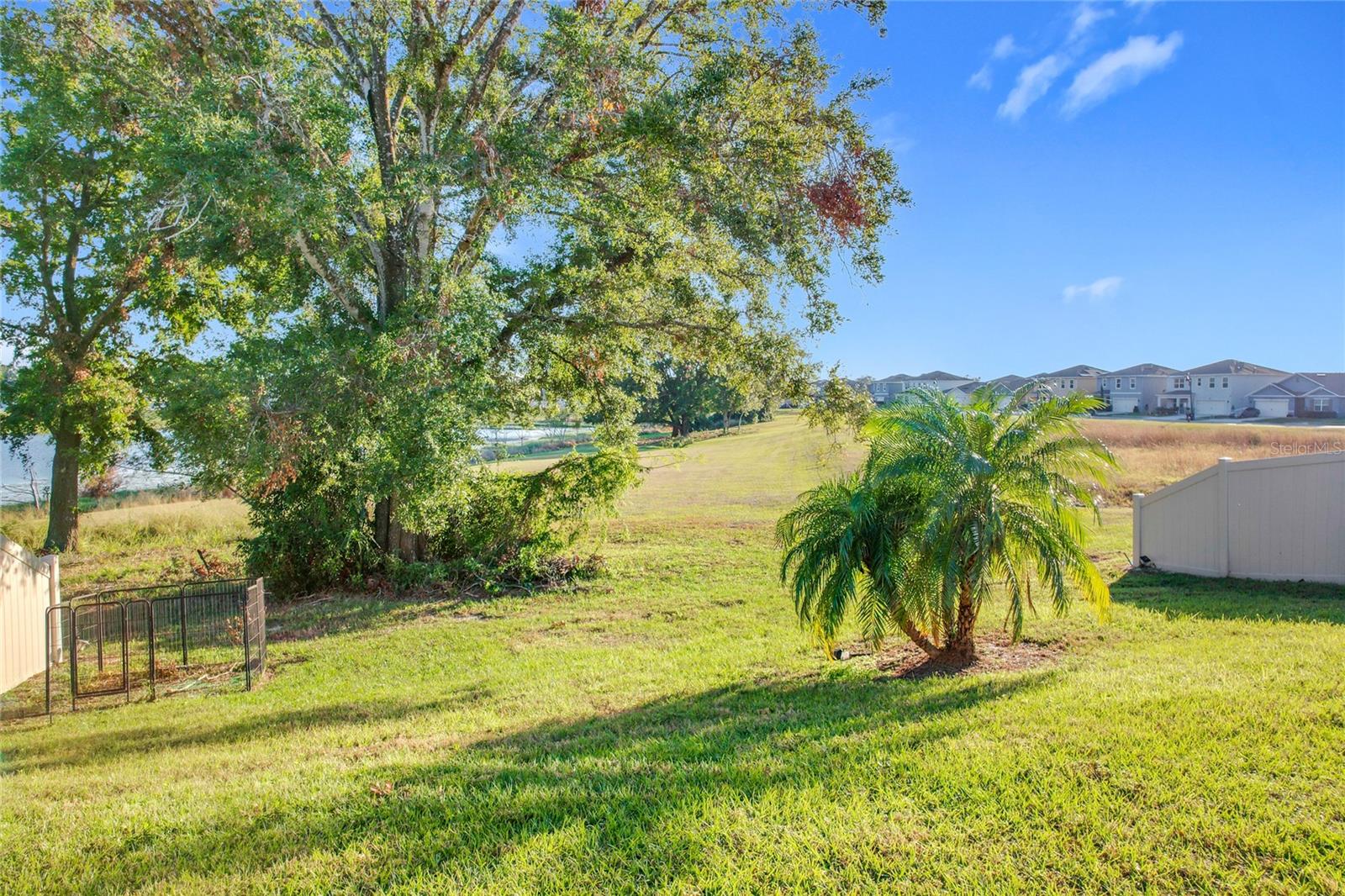 3290 LOGAN BERRY DR, MOUNT DORA, FL, 32757
